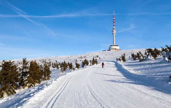 Loipen Oder Langlaufloipen Auf Dem Berg Jesenik Und Fernsehsender Montiert — Stockfoto