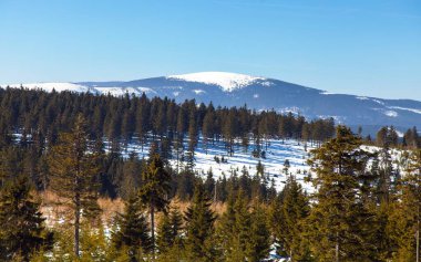 Jesenik dağlarının manzarası kralicky sneznik Dağı - Moravia - czech cumhuriyeti