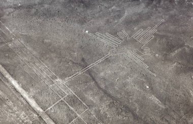 Sinekkuşu geoglifleri siyah-beyaz, Nazca gizemli çizgileri ve geoglifleri Nasca, Peru 'da bir dönüm noktası.