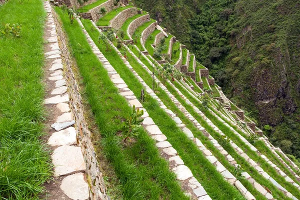 Choquequirao Uma Das Melhores Ruínas Incas Peru Trilha Trekking Choquequirao — Fotografia de Stock