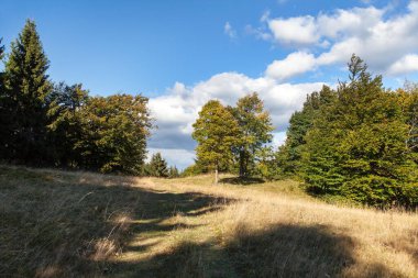 Mala Fatra. Lucanska Mala Fatra dağlarından dağ manzarası. Slovakya Karpat Dağları. Slovakya