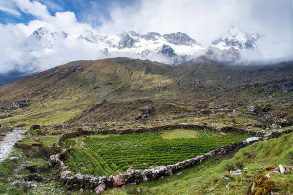 Salkantay Caminata Camino Machu Picchu Pequeño Campo Patatas Área Del — Foto de Stock