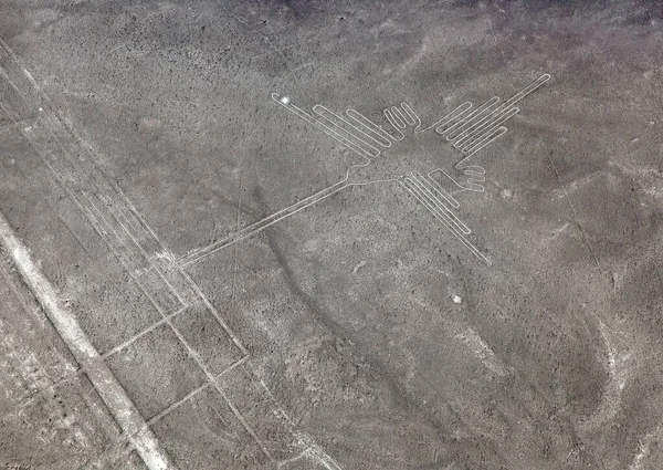 Géoglyphe Colibri Noir Blanc Nazca Mystérieuses Lignes Géoglyphes Vue Aérienne — Photo