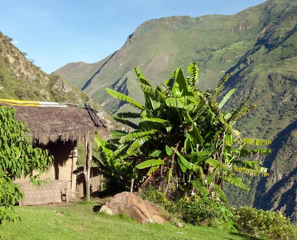 秘鲁安第斯山脉的漂亮房子和秘鲁印加河边Choquequirao树的香蕉树 — 图库照片