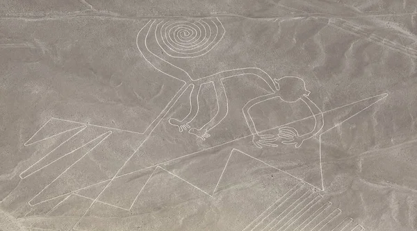 Monkey Geoglyph Nazca Nasca Mysterious Lines Geoglyphs Aerial View Landmark — Stock Photo, Image