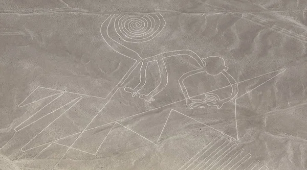 Monkey Geglyph Nazca Nasca 의문의 선들과 지구의 페루의 랜드마크 스톡 사진