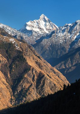 Hindistan 'ın en iyi dağlarından biri olan Nanda Devi Dağı, Joshimath Auli, Uttarakhand, Hindistan' dan görüldü.