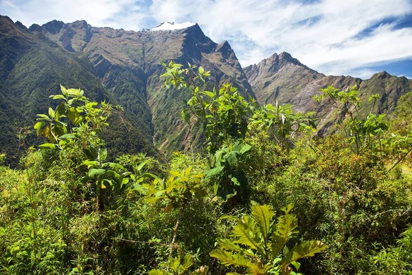 Vista Desde Sendero Choquequirao Área Cusco Área Machu Picchu Montañas — Foto de Stock