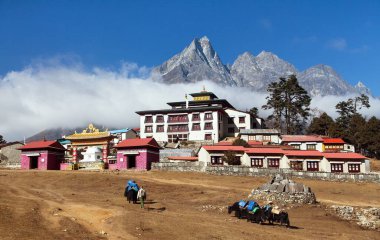 Tengboche Manastırı, Khumbu Vadisi 'ndeki en iyi manastır ve öküzler Everest ana kampı, Sagarmatha ulusal parkı, Solukhumbu, Nepal Himalayalar