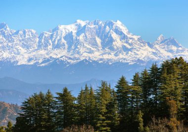 Chaukhamba Dağı ve ormanlık, Himalaya, Hint Himalayaları 'nın panoramik manzarası, büyük Himalayalar sıradağları, Uttarakhand Hindistan, Gangotri sıradağları 