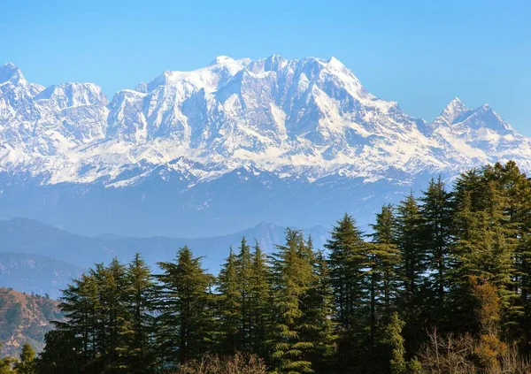 Mount Chaukhamba Lesy Himalája Panoramatický Výhled Indické Himálaje Hory Velké — Stock fotografie