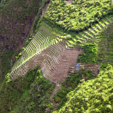Choquequirao, Peru 'daki en iyi İnka harabelerinden biri. Machu Picchu yakınlarında Choquequirao İnka yürüyüş yolu. Peru 'daki Cuzco bölgesinde. Teraslı alanlar