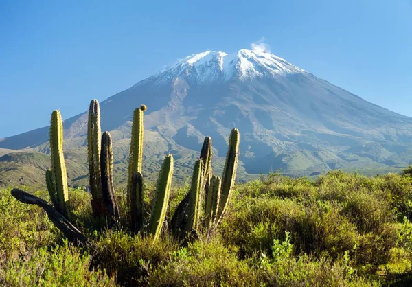 Misti火山和仙人掌火山是秘鲁阿雷基帕市附近最好的火山之一 — 图库照片