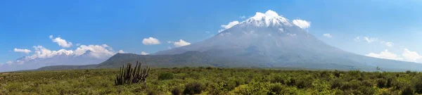 ミスティとチャチャニ火山とサボテン パノラマビュー ペルーのアレキパ市近くの火山のベスト — ストック写真