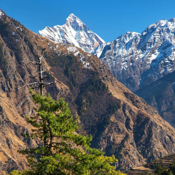 Monte Nanda Devi Uno Los Mejores Montes India Himalaya Visto —  Fotos de Stock