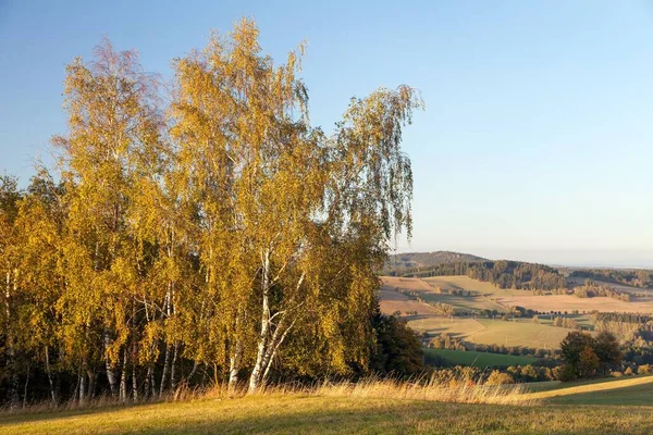 Podzimní Panorama České Moravské Vrchoviny Česká Republika — Stock fotografie