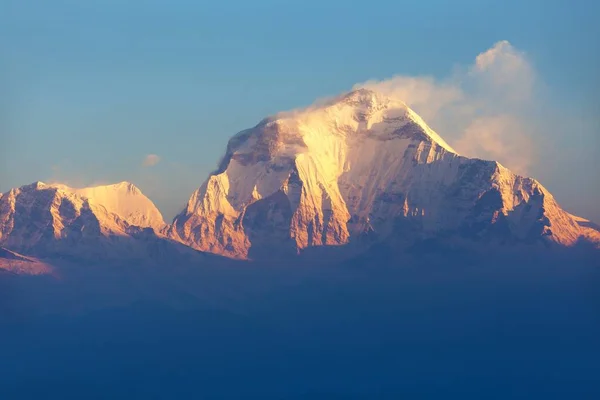 Ранковий Панорамний Вид Гору Dhaulagiri Точки Зору Пагорба Пон Гори — стокове фото