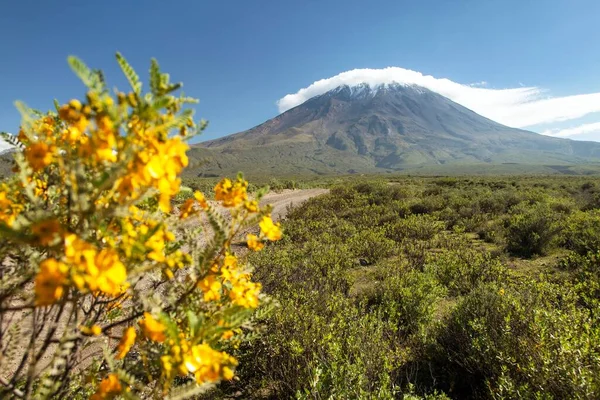 Volcán Misti Medio Nubes Flores Uno Los Mejores Volcanes Cerca — Foto de Stock