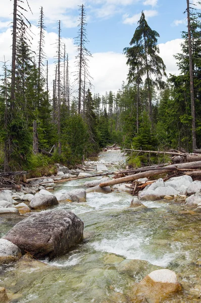 Waterfalls Stream Studeny Potok High Tatras Mountains Carpathia Slovakia — Stock Photo, Image