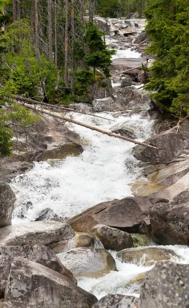 Cascades Ruisseau Studeny Potok Dans Les Montagnes Des Hautes Tatras — Photo