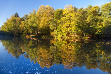 Ohre nehri ve sonbahar manzarası su yüzeyindeki gölü yansıtıyor.