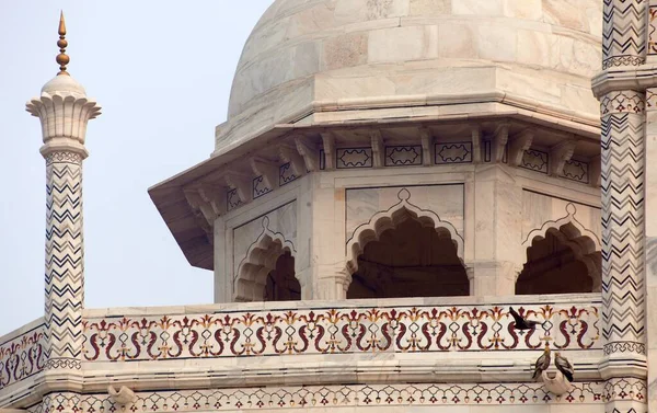 Taj Mahal Detalj Marmor Vägg Det Bästa Indiska Historiska Sevärdheter — Stockfoto