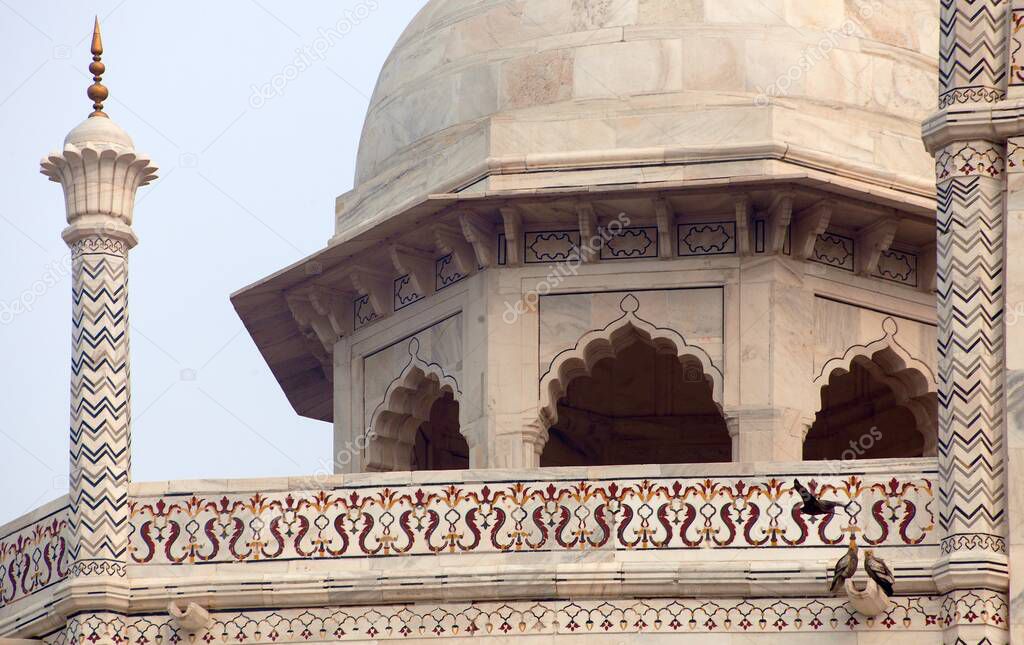 Taj Mahal, detail of marble wall, the best of Indian historical sights, UNESCO