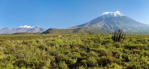 Misti Chachani Vulcões Cactos Vista Panorâmica Melhor Dos Vulcões Perto — Fotografia de Stock