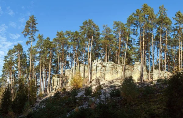 Mastale Rockies Veya Toulovcovy Mastale Rock Şehri Prosec Kasabası Yakınlarında — Stok fotoğraf