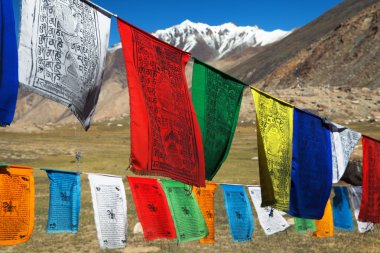 dua bayrakları ile stupas - himachal pradesh - Hindistan