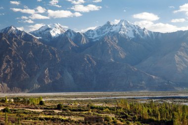 nubra Vadisi - Hint Himalayalar - ladakh