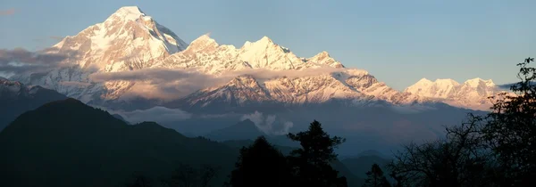 Kvällen panoramautsikt över berget dhaulagiri - nepal — Stockfoto