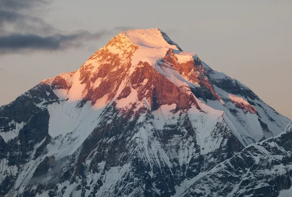 Kvällen syn på mount dhaulagiri - nepal — Stockfoto