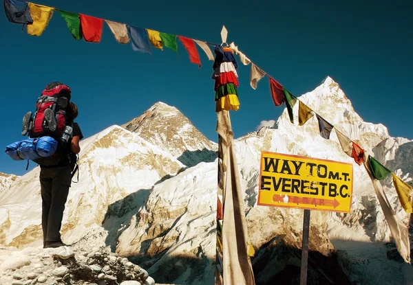 Blick auf den Everest - Weg zum Everest Basislager - Nepal lizenzfreie Stockfotos