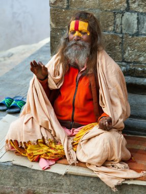 ünlü boyalı sadhu