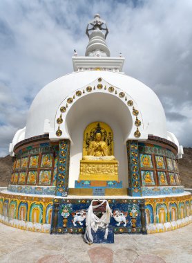 uzun boylu shanti stupa leh yakınındaki detay