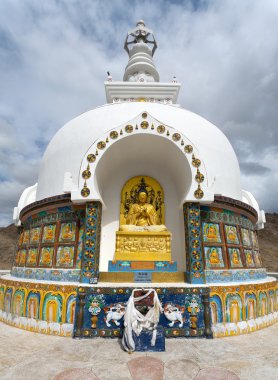 Detail of Tall Shanti Stupa near Leh clipart