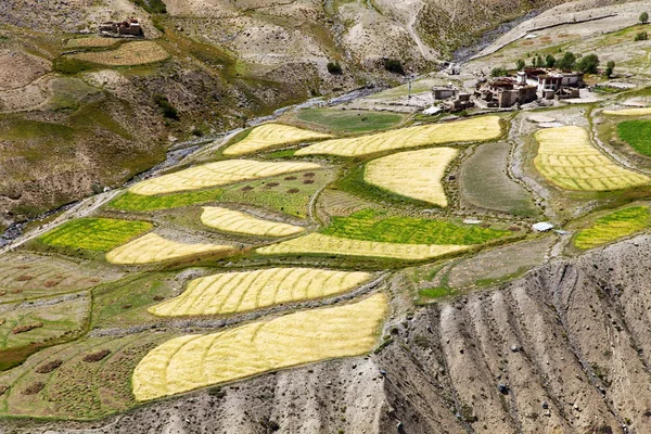 Skyumpata village - schönes Dorf in zanskar trek — Stockfoto