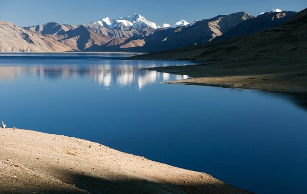 Lago Tso Moriri en el valle de Rupshu — Foto de Stock
