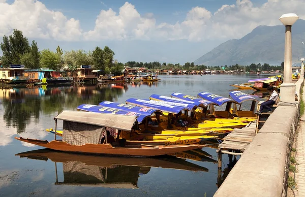 Shikara boats on Dal Lake with houseboats — Stock Photo, Image