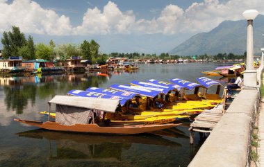 shikara tekne yüzen dal göl üzerinde