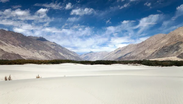 Duinen in nubra vallei — Stockfoto