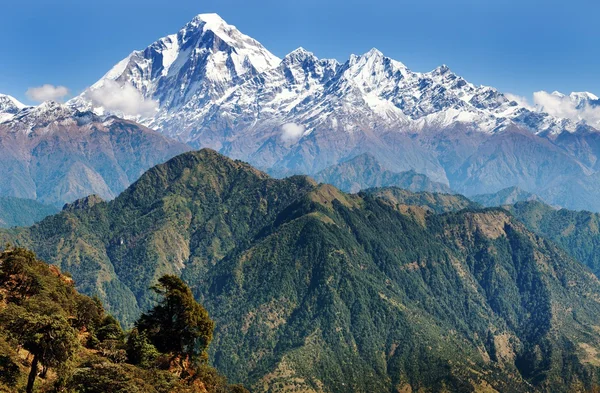 Kilátás nyílik a mount dhaulagiri - Nepál — Stock Fotó