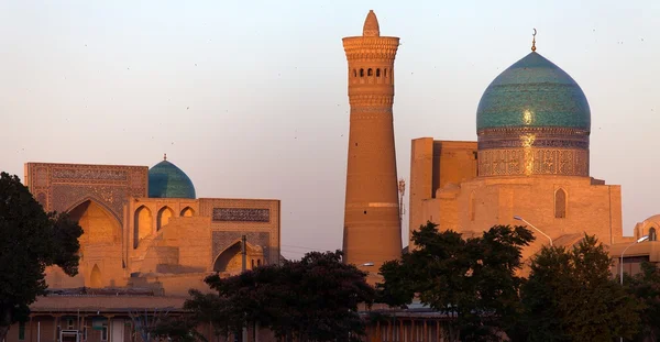 Mezquita Kalon y minarete - Bujará - Uzbekistán —  Fotos de Stock