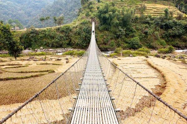 Rope hanging suspension bridge in Nepal with paddyfield and tourist — Stock Photo, Image