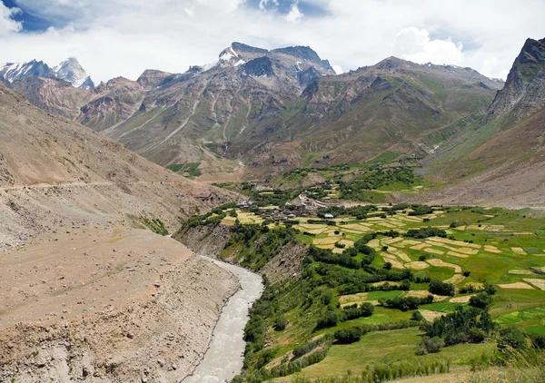 Suru údolí - cesta k Zanskar - Džammú a Kašmír - Indie — Stock fotografie