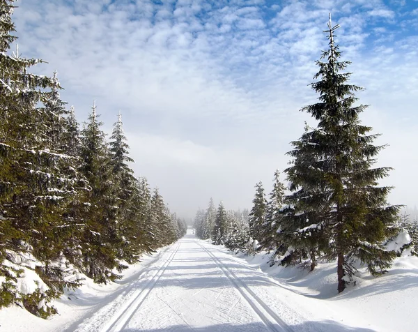Paysage hivernal avec piste de ski de fond modifiée Image En Vente