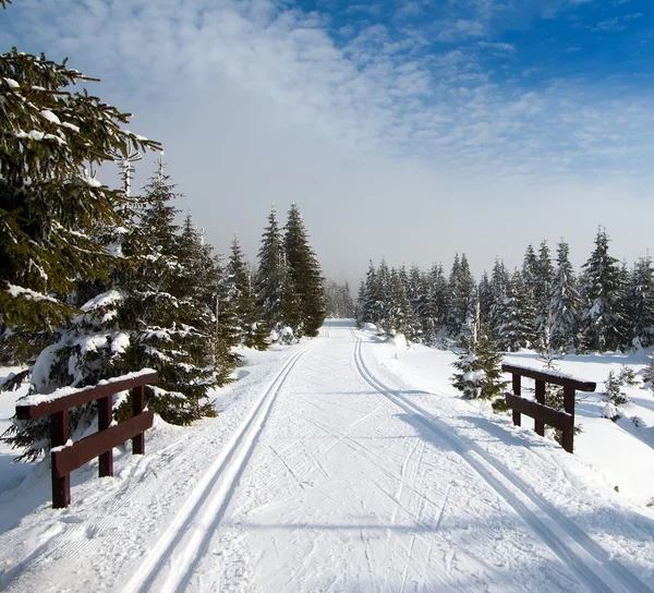 Winterse landschap met gemodificeerde crosscountry skiën manier — Stockfoto