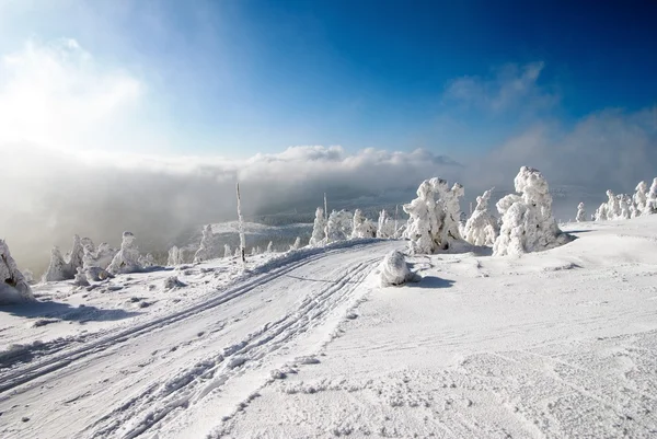 Paysage hivernal avec piste de ski de fond modifiée Images De Stock Libres De Droits