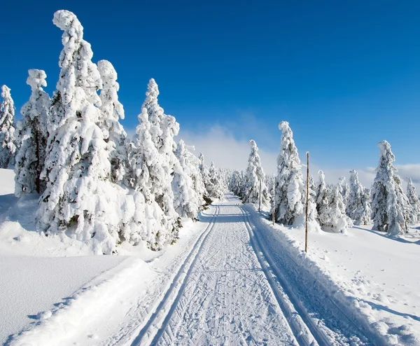 Paysage hivernal avec piste de ski de fond modifiée — Photo